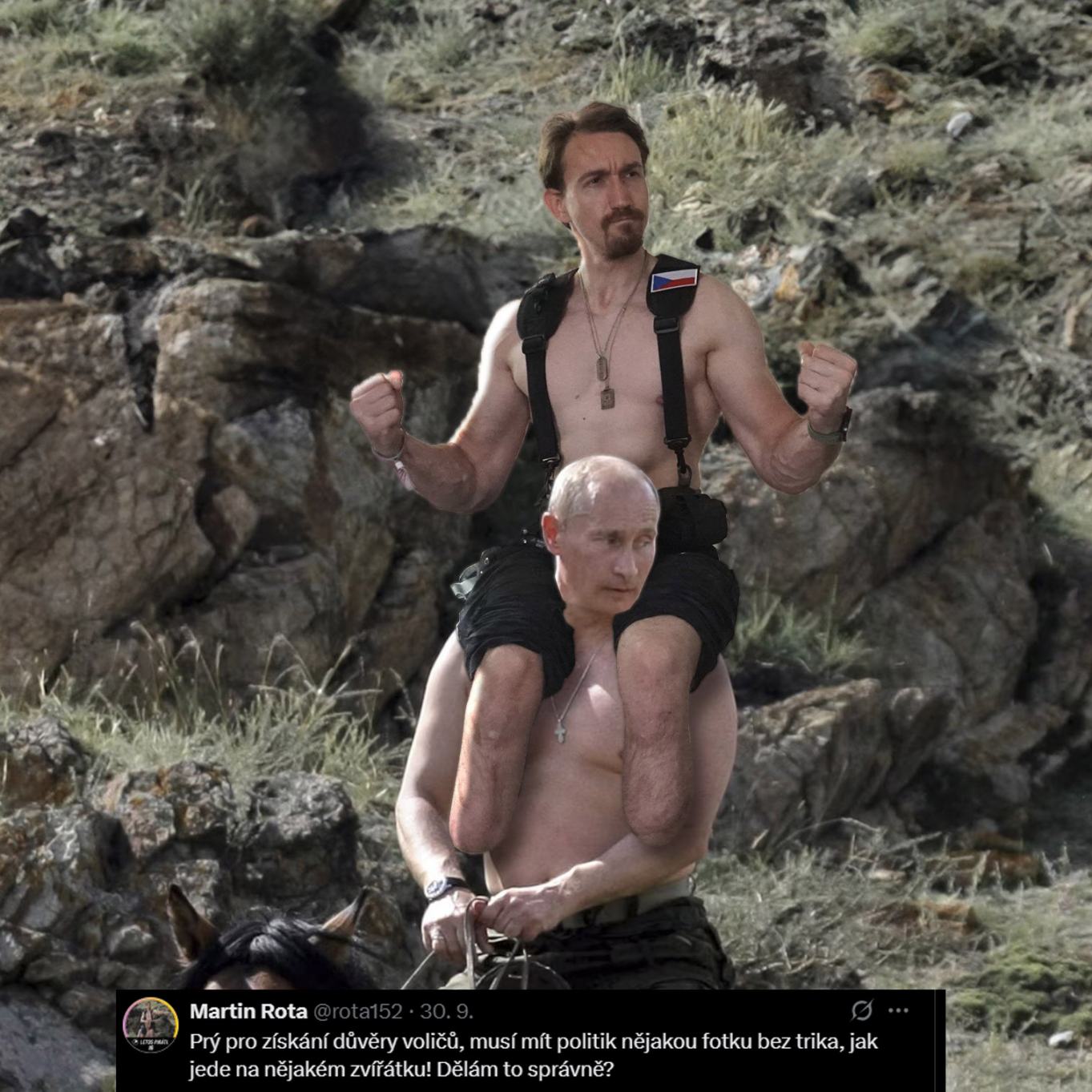 Obrázek rota na koze jel