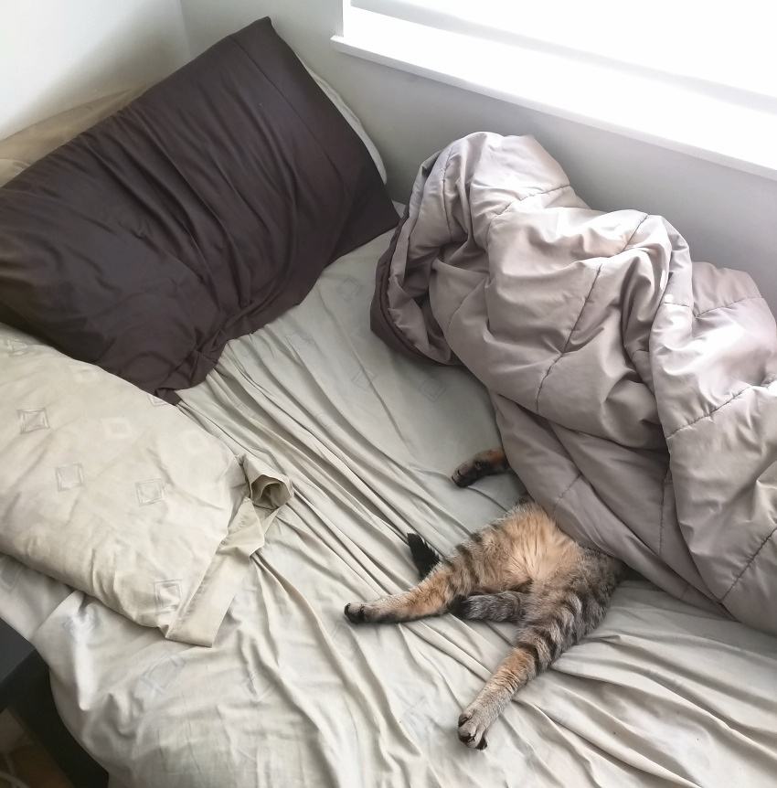 Obrázek rough-night&nbsp;1