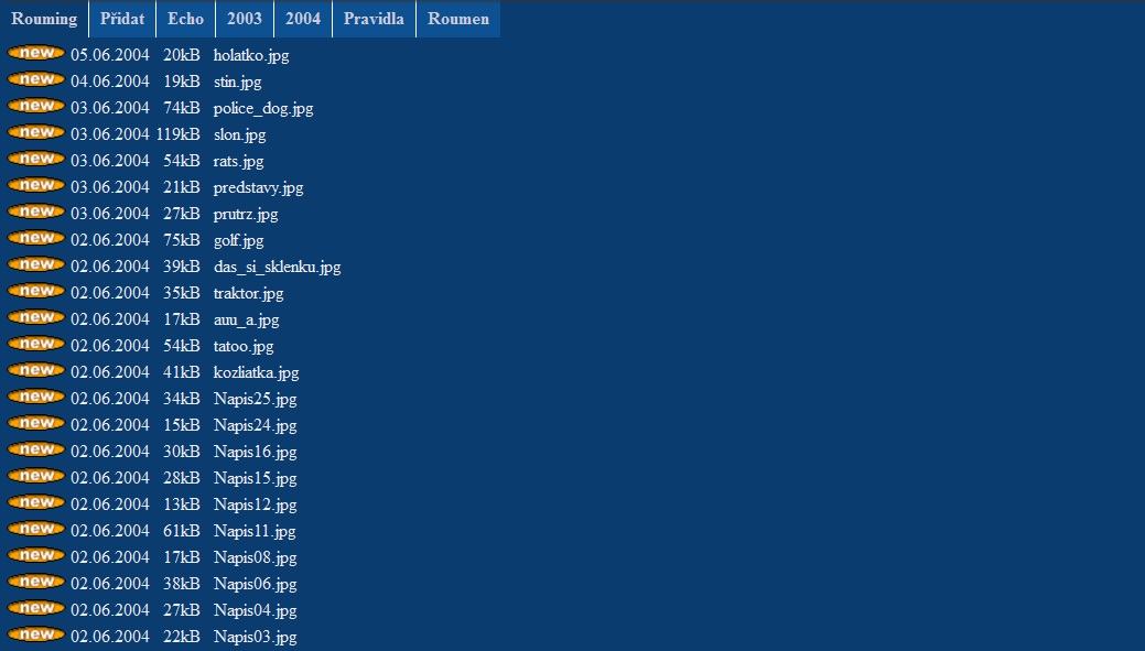 Obrázek rouming 2004