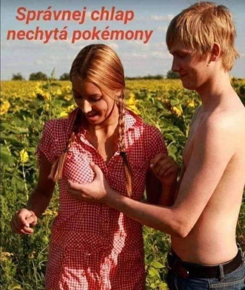 Obrázek rouming Pokemon 2020