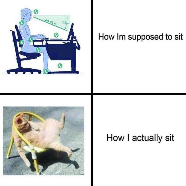 Obrázek rouming sitting