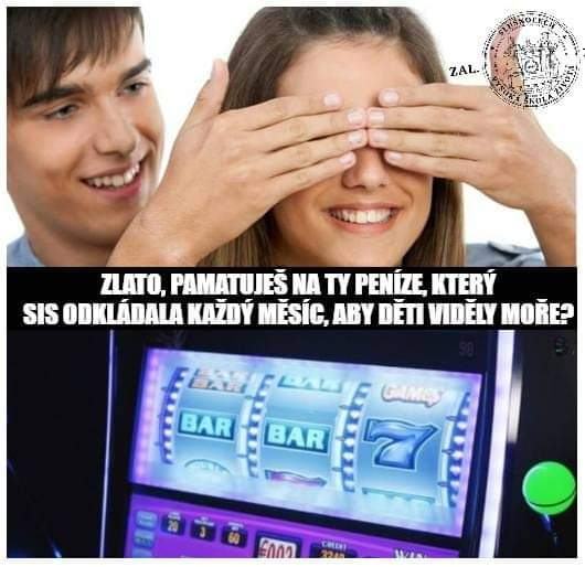 Obrázek roztocil to