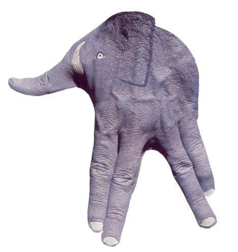 Obrázek ruce slon