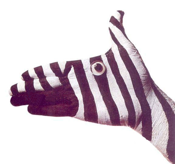Obrázek ruce zebra