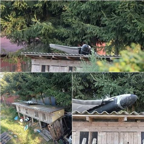 Obrázek ruska holubice miru odpadla v Polsku