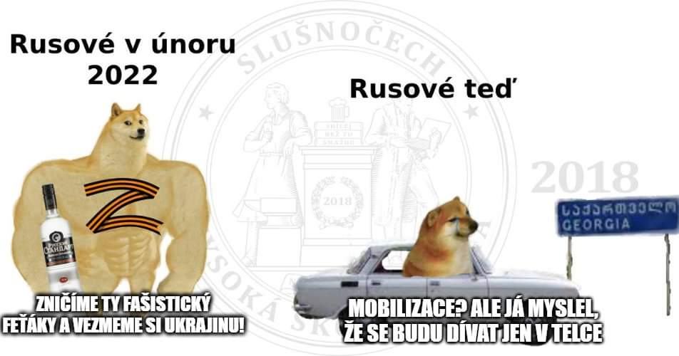 Obrázek russiadoggo