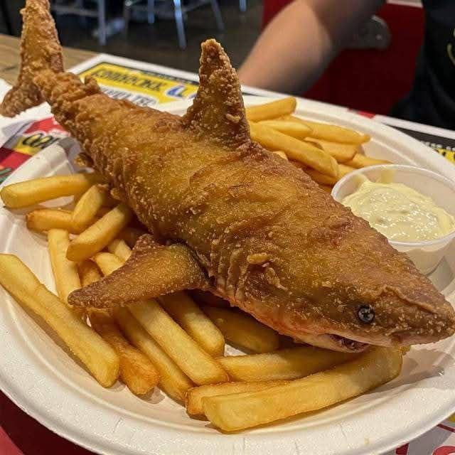 Obrázek ryba na chips