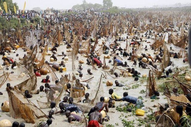 Obrázek rybarsky masakr