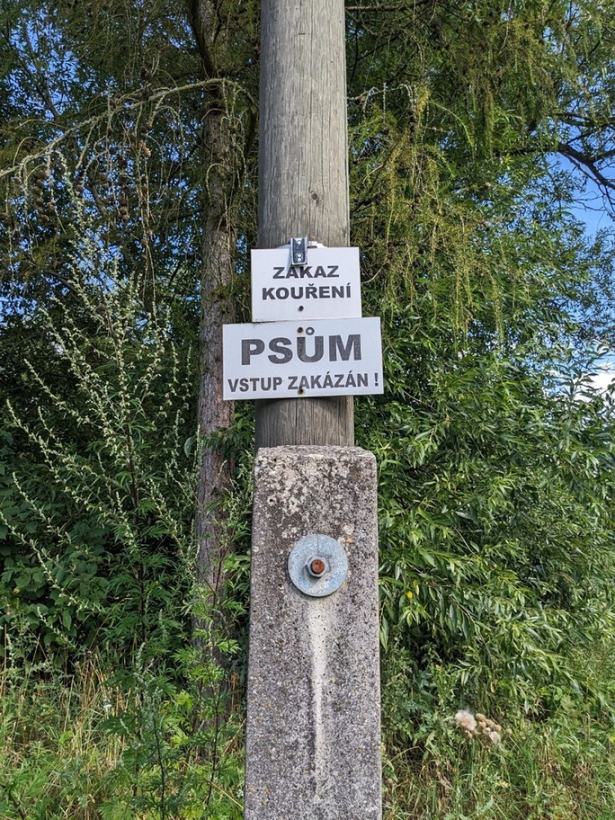 Obrázek sakra a mam po planech