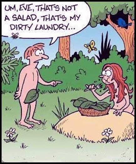 Obrázek salad