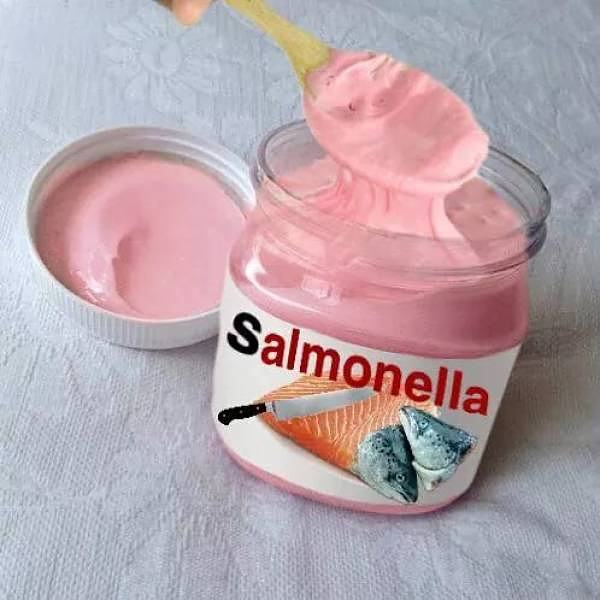 Obrázek salmoneIIa