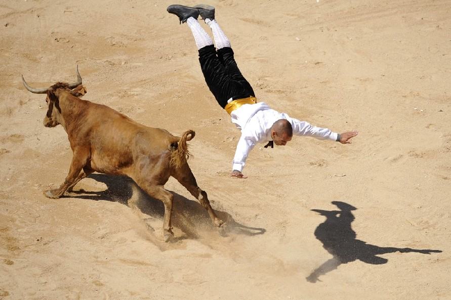Obrázek salto mortale