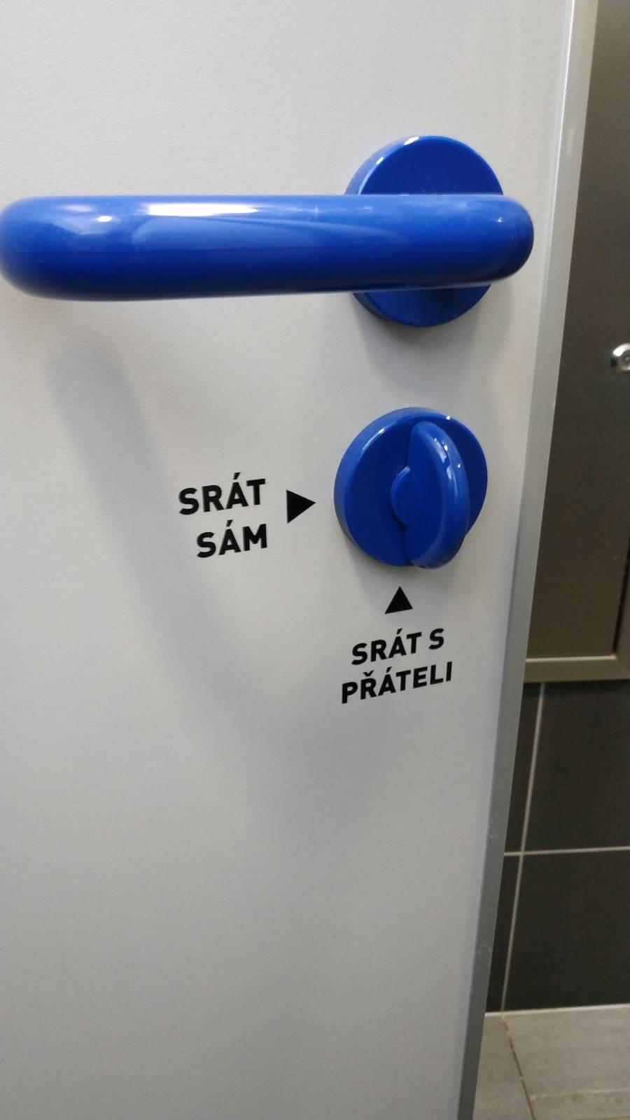 Obrázek sam nebo s prateli