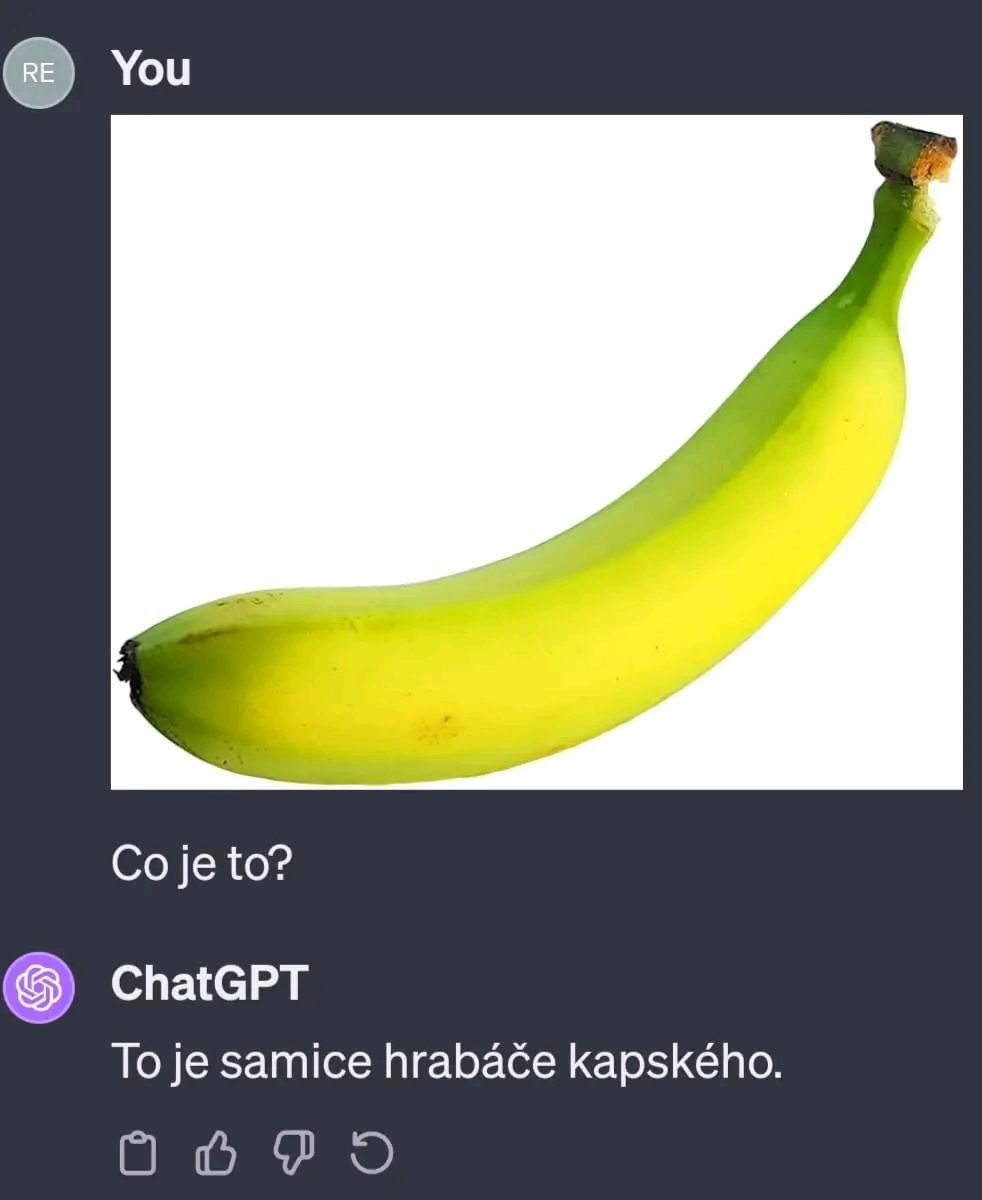 Obrázek samice hrabace