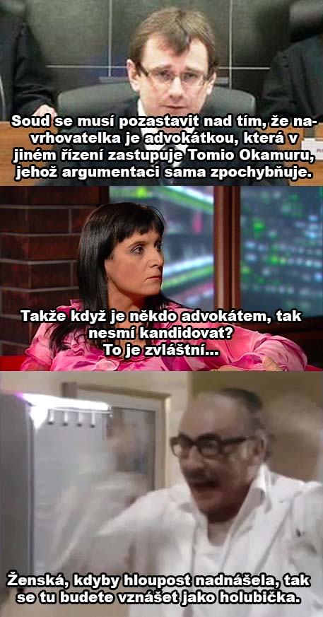 Obrázek samkova