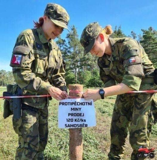 Obrázek samoodber min