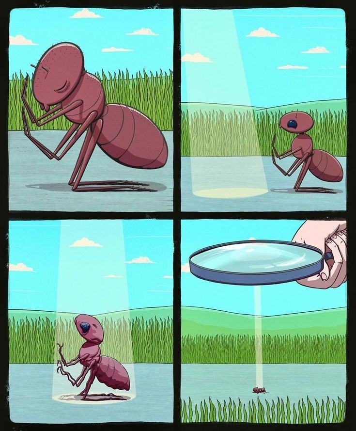 Obrázek sant&nbsp;ant