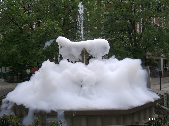 Obrázek saponat ve fontane