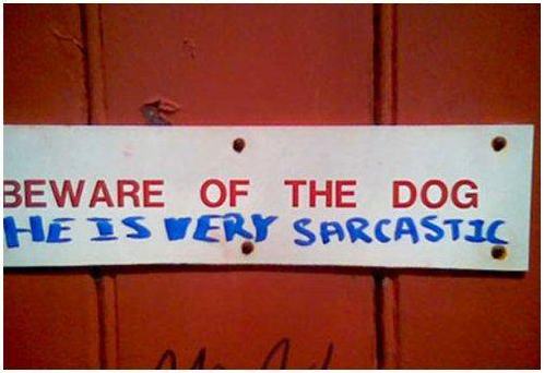 Obrázek sarcastic dog