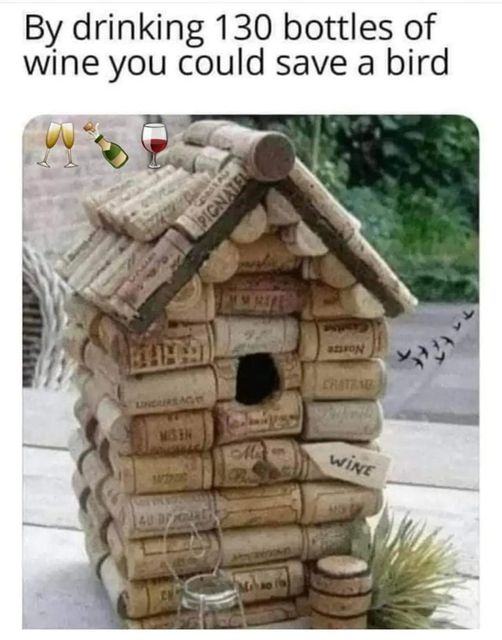 Obrázek save a bird