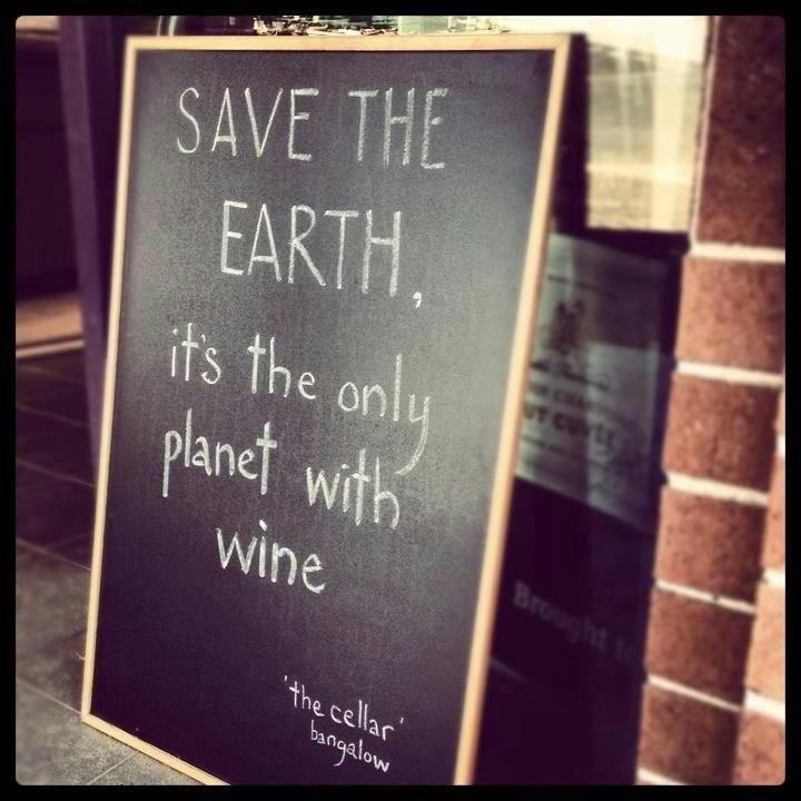 Obrázek save the earth