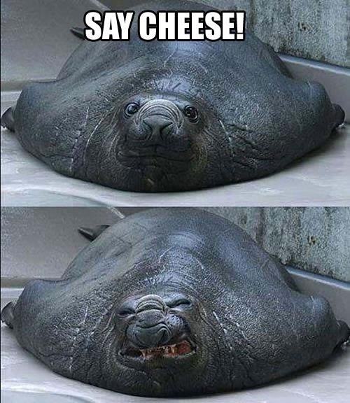 Obrázek say cheese - 05-07-2012
