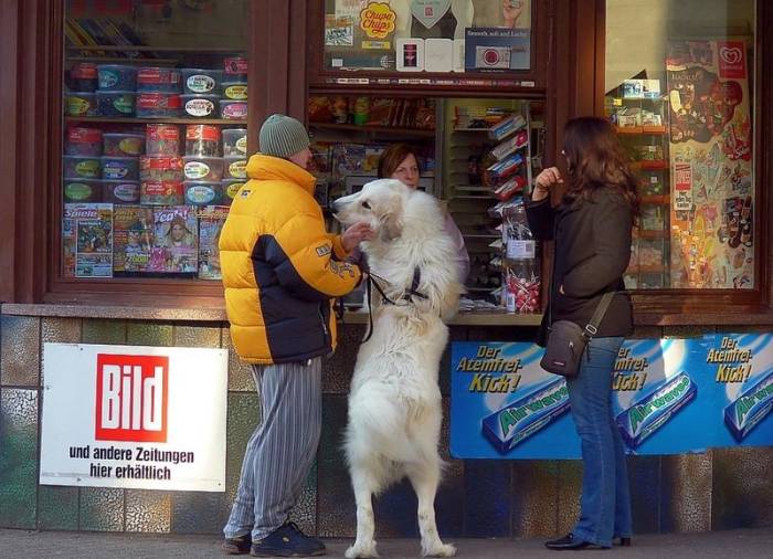 Obrázek sces i cigarety