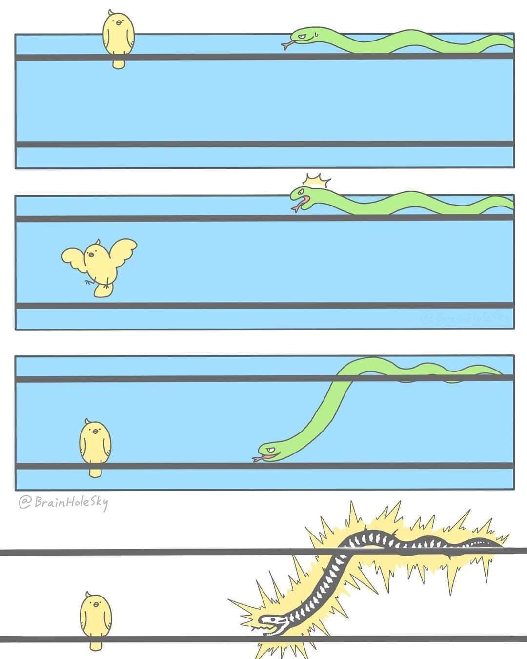 Obrázek science is bitch