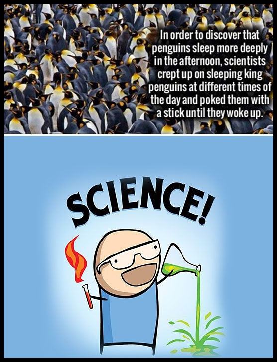Obrázek science is so scientific 