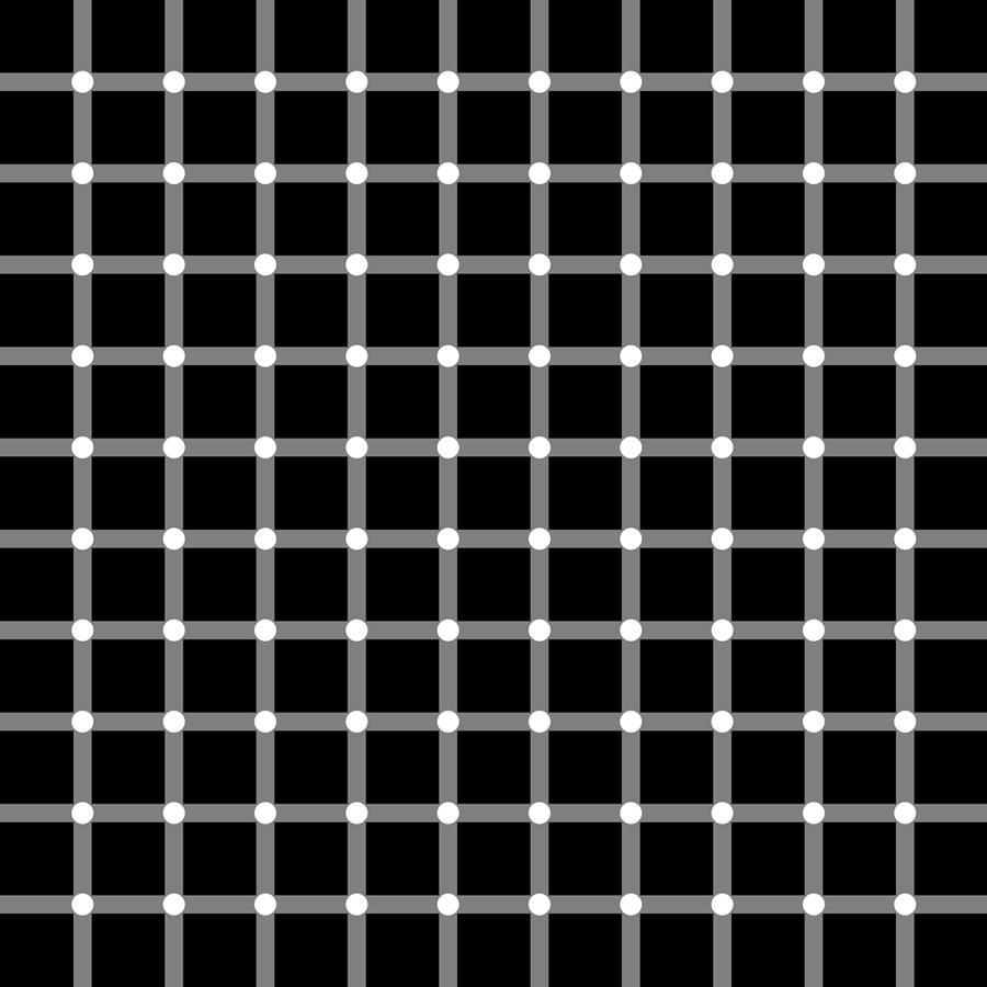 Obrázek scintillatinggridillusion2010G50Ls