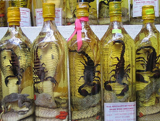 Obrázek scorpio