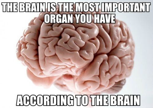 Obrázek scumbag brain