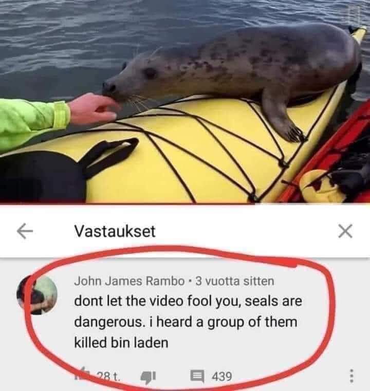 Obrázek seals are dangerous