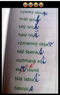 Obrázek sej rovne