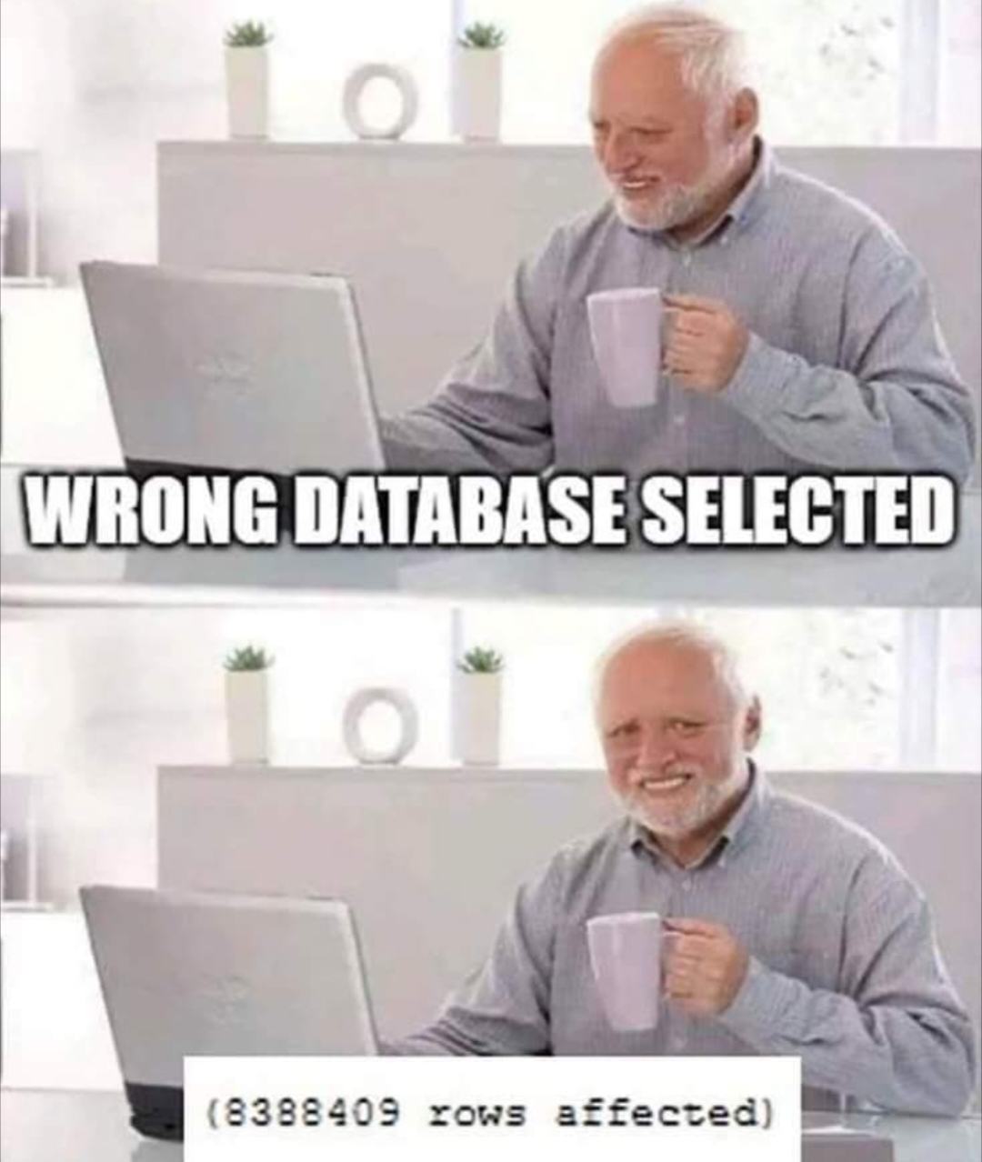Obrázek senior SQL designer 