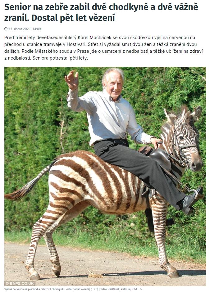 Obrázek senior na zebre