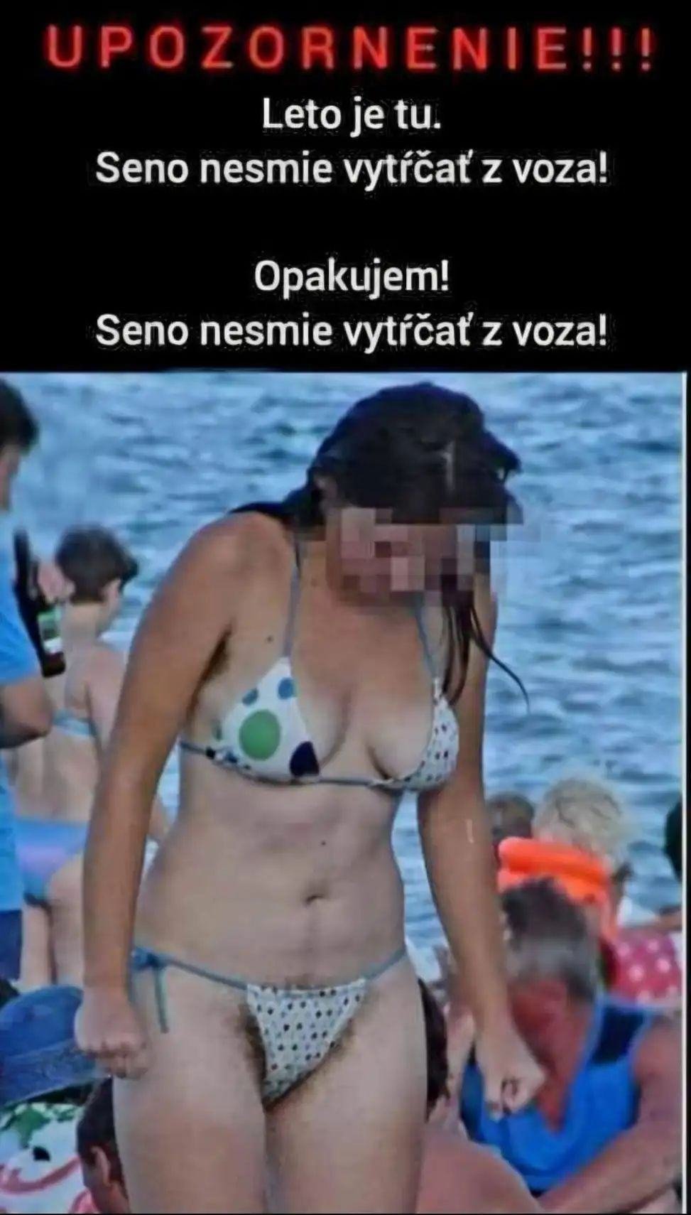 Obrázek seno z voza