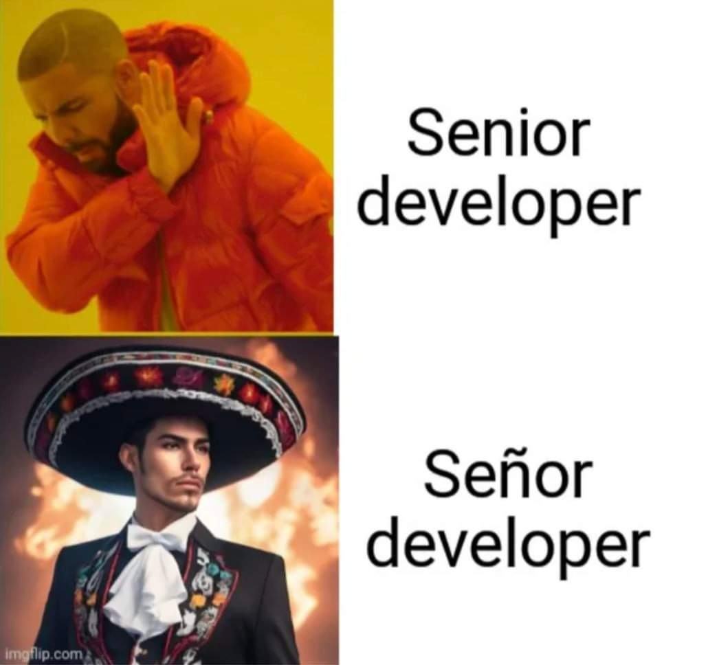Obrázek senor developer