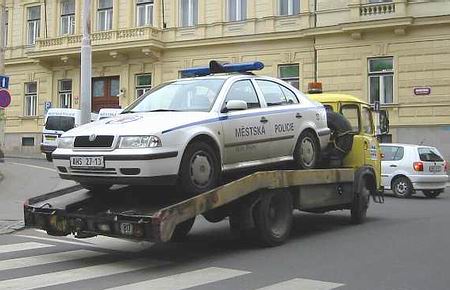 Obrázek senridice