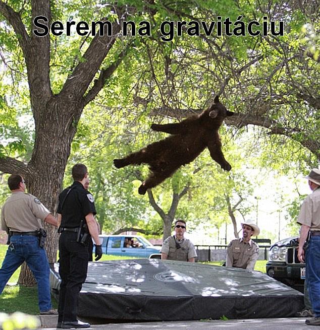 Obrázek serem na gravitaciu