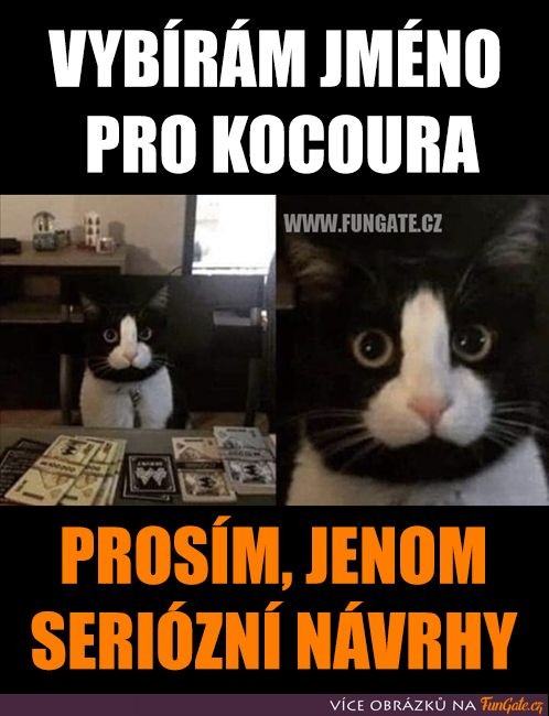 Obrázek seriozny&nbsp;curak