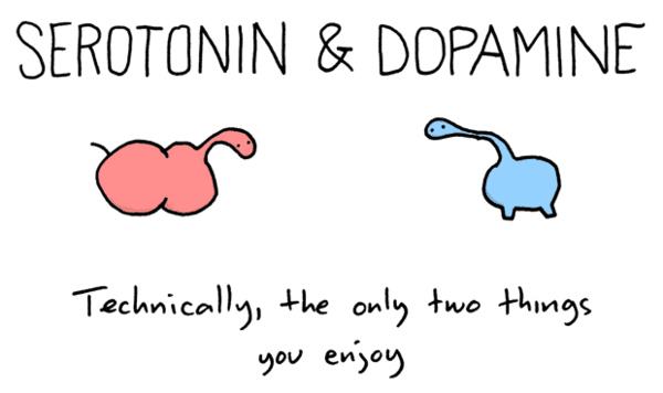 Obrázek serotonin dopamine