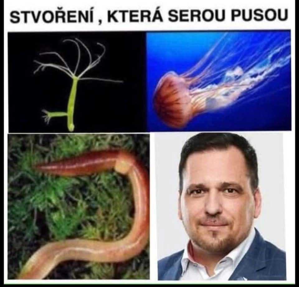 Obrázek serou pusou