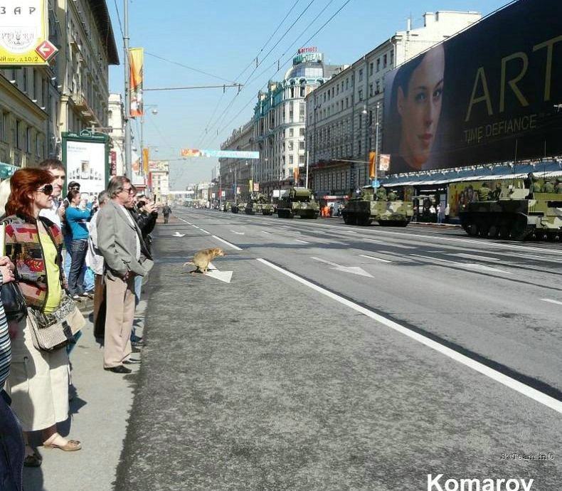 Obrázek seru na armadu