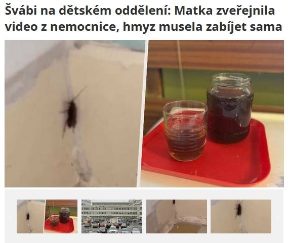 Obrázek sestricka z kramarou ma dovolenou
