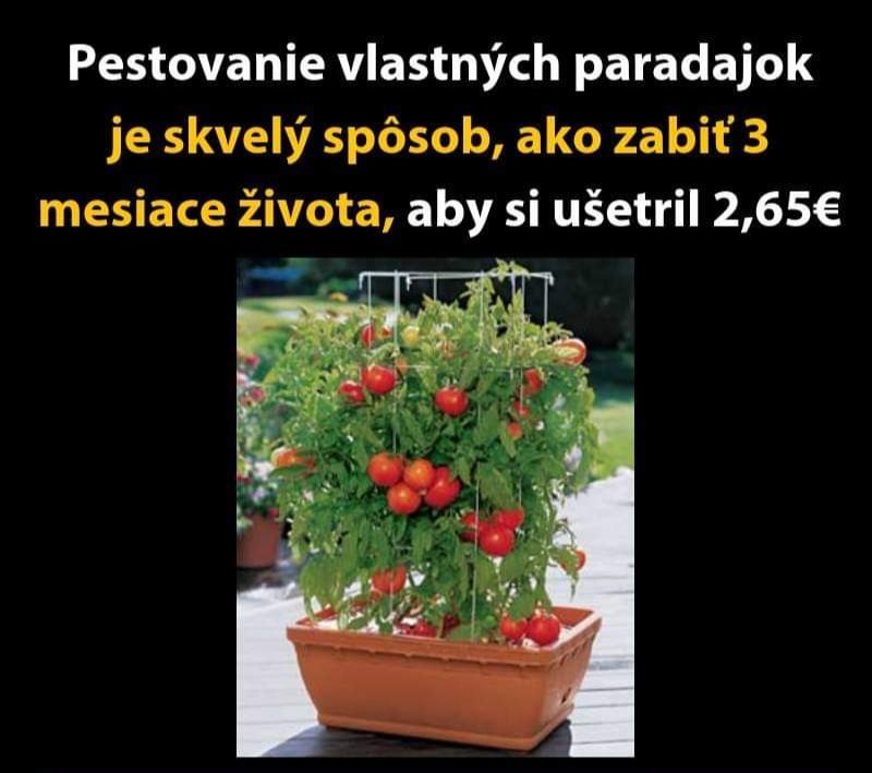 Obrázek setrenim ku zdravi