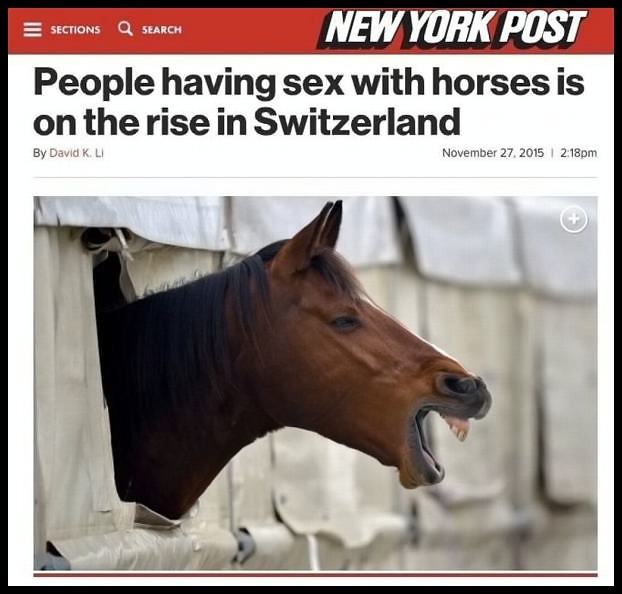 Obrázek sex-with-horses