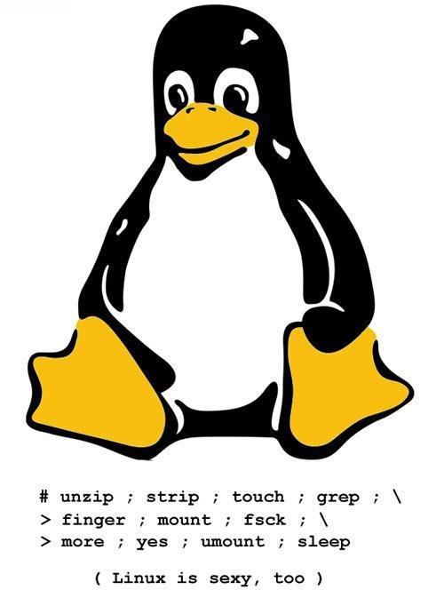 Obrázek sexy linux