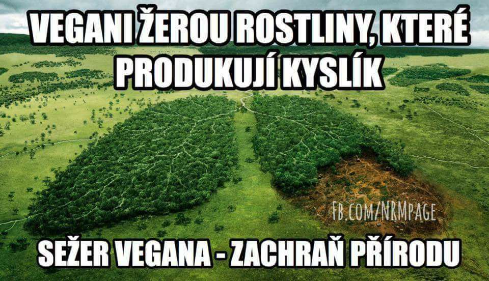 Obrázek sezer.vegana