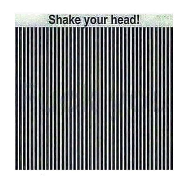 Obrázek shake&nbsp;your&nbsp;head